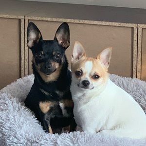 Meet your Posher, Julie